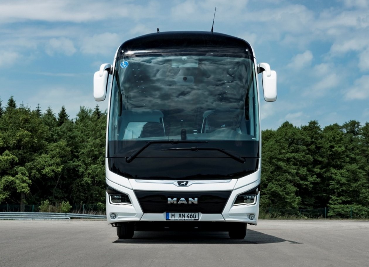 Man lion s coach фото