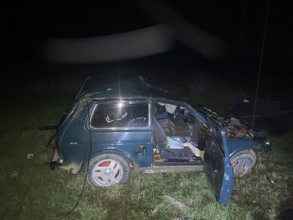 На Ставрополье водитель погиб в ДТП с коровой - «ДТП»