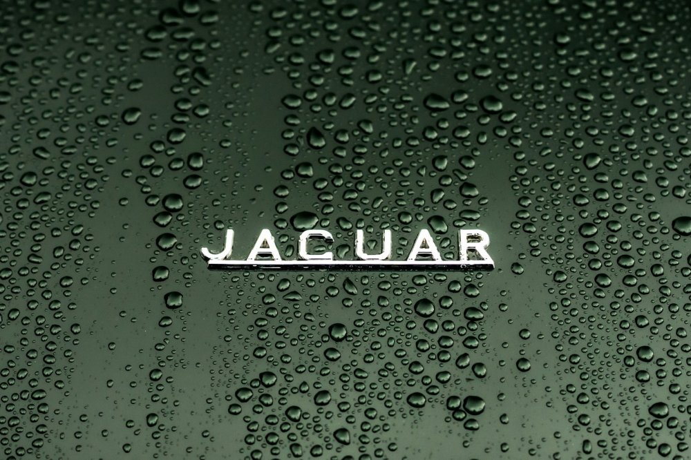 Jaguar готовит новый седан: огромный капот, без заднего стекла и без «кошачьих» эмблем - «Jaguar»
